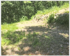  2025Ÿ��51883  ���ð��