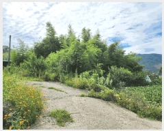  2025Ÿ��51889 ���� ������ ����� �̵��� 341      ����(����)���