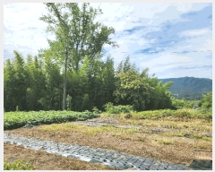  2025Ÿ��51889 ���� ������ ����� �̵��� 341      ����(����)���