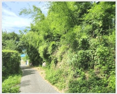  2025Ÿ��51889 ���� ������ ����� �̵��� 341      ����(����)���