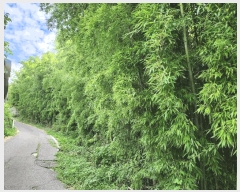  2025Ÿ��51889 ���� ������ ����� �̵��� 341      ����(����)���