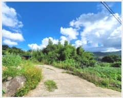  2025Ÿ��51889 ���� ������ ����� �̵��� 341      ����(����)���