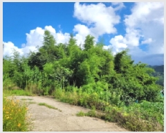  2025Ÿ��51889 ���� ������ ����� �̵��� 341      ����(����)���