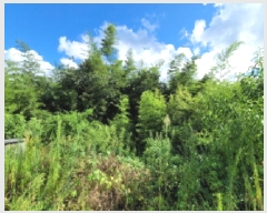  2025Ÿ��51889 ���� ������ ����� �̵��� 341      ����(����)���