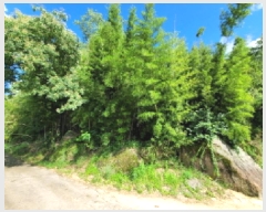  2025Ÿ��51889 ���� ������ ����� �̵��� 364      ����(�Ӿ�)���