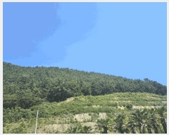  2025Ÿ��51913  �Ӿ߰��