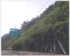  2025Ÿ��51913  �Ӿ߰��