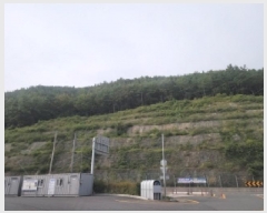  2025Ÿ��51913  �Ӿ߰��