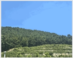  2025Ÿ��51913  �Ӿ߰��