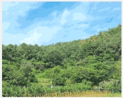  2025Ÿ��51937 ���� ��õ�� �ط�� ������ ��12      ����(�Ӿ�)���