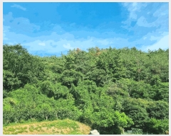  2025Ÿ��51937 ���� ��õ�� �ط�� ������ ��12      ����(�Ӿ�)���