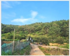  2025Ÿ��51937 ���� ��õ�� �ط�� ������ ��12      ����(�Ӿ�)���