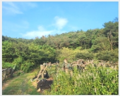  2025Ÿ��51937 ���� ��õ�� �ط�� ������ ��12      ����(�Ӿ�)���