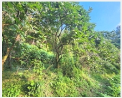  2025Ÿ��51937 ���� ��õ�� �ط�� ������ ��12      ����(�Ӿ�)���