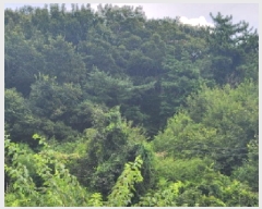  2025Ÿ��51937 ���� ��õ�� �ط�� ������ ��12      ����(�Ӿ�)���