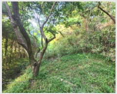  2025Ÿ��51937 ���� ��õ�� �ط�� ������ ��12      ����(�Ӿ�)���