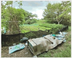  2025Ÿ��51949 ���� ����� ������ ���ʸ� 718-15      ����(��)���