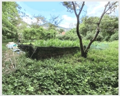  2025Ÿ��51949 ���� ����� ������ ���ʸ� 718-15      ����(��)���