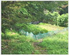  2025Ÿ��51949 ���� ����� ������ ���ʸ� 718-15      ����(��)���