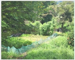  2025Ÿ��51949 ���� ����� ������ ���ʸ� 718-15      ����(��)���