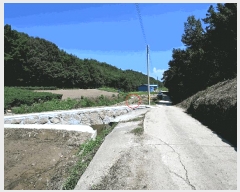  2025Ÿ��51955 ���� ���ﱺ ���ϸ� ȭ�踮 1299      ����(��)���