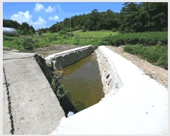  2025Ÿ��51955 ���� ���ﱺ ���ϸ� ȭ�踮 1299      ����(��)���