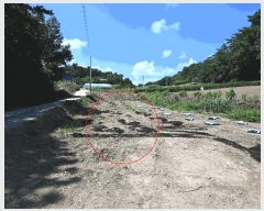  2025Ÿ��51955 ���� ���ﱺ ���ϸ� ȭ�踮 1299      ����(��)���