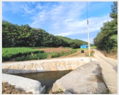  2025Ÿ��51955 ���� ���ﱺ ���ϸ� ȭ�踮 1299      ����(��)���