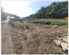  2025Ÿ��51955 ���� ���ﱺ ���ϸ� ȭ�踮 1299      ����(��)���