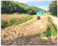  2025Ÿ��51955 ���� ���ﱺ ���ϸ� ȭ�踮 1299      ����(��)���