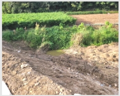  2025Ÿ��51955 ���� ���ﱺ ���ϸ� ȭ�踮 1299      ����(��)���