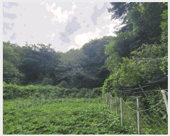  2025Ÿ��51961 ���� ��õ�� �ܼ��� ���ϸ� ��153      ����(�Ӿ�)���