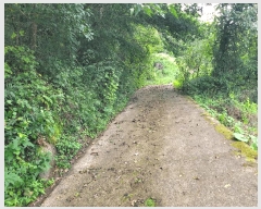  2025Ÿ��51961 ���� ��õ�� �ܼ��� ���ϸ� ��153      ����(�Ӿ�)���