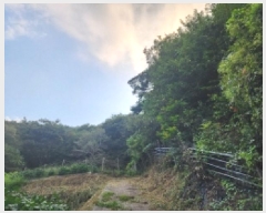  2025Ÿ��51961 ���� ��õ�� �ܼ��� ���ϸ� ��153      ����(�Ӿ�)���