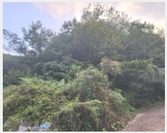  2025Ÿ��51961 ���� ��õ�� �ܼ��� ���ϸ� ��153      ����(�Ӿ�)���