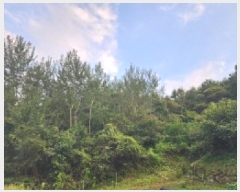  2025Ÿ��51961 ���� ��õ�� �ܼ��� ���ϸ� ��153      ����(�Ӿ�)���