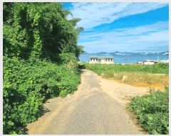  2025Ÿ��52010  �����