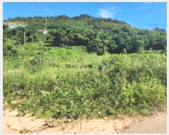  2025Ÿ��52010  �����