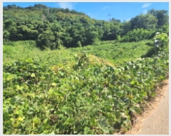  2025Ÿ��52010  �����