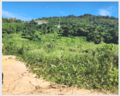  2025Ÿ��52010  �����