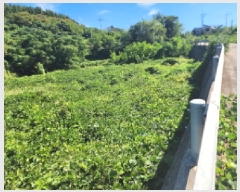  2025Ÿ��52010  �����