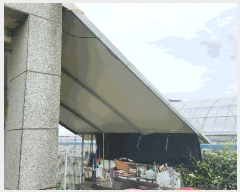  2025Ÿ��52016  ���ð��