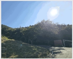  2025Ÿ��52034  �Ӿ߰��