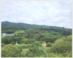  2025Ÿ��52034  �Ӿ߰��