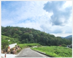  2025Ÿ��52034  �Ӿ߰��