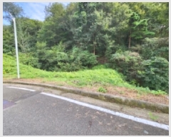  2025Ÿ��52034  �Ӿ߰��