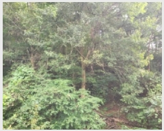  2025Ÿ��52034  �Ӿ߰��