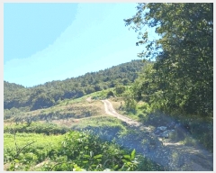  2025Ÿ��52058  �Ӿ߰��