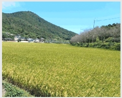  2025Ÿ��52058  �Ӿ߰��