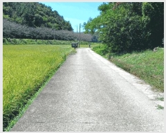  2025Ÿ��52058  �Ӿ߰��